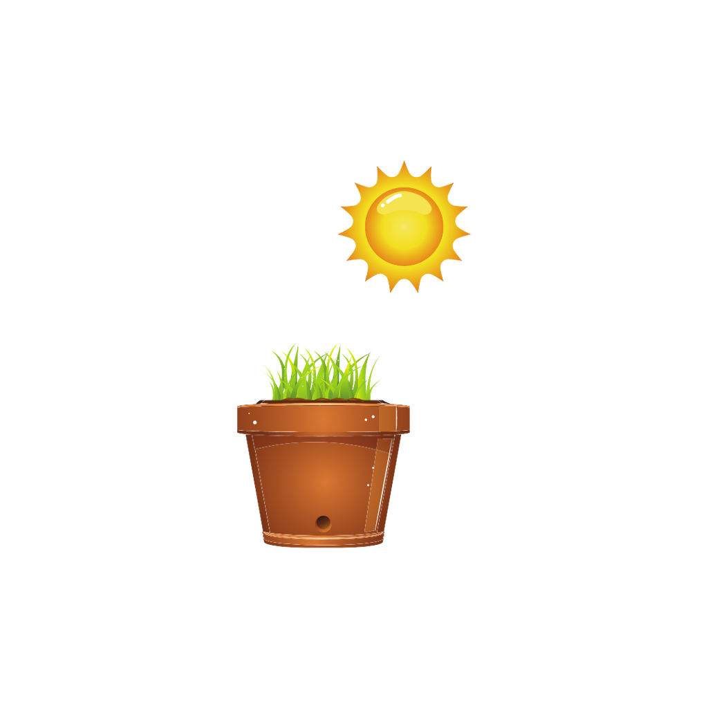 Your planting guide step 3: Showing the plantable products beginning to grow inside of their plant pot, position infront of the sun