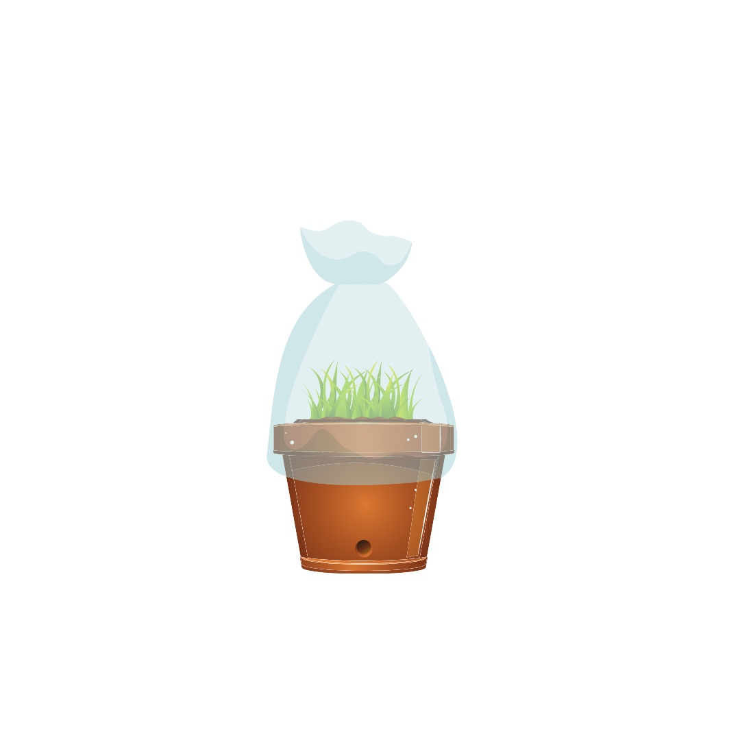 Your planting guide tip 1: Showing an image of a plantpot and plastic bag to create a mini greenhouse