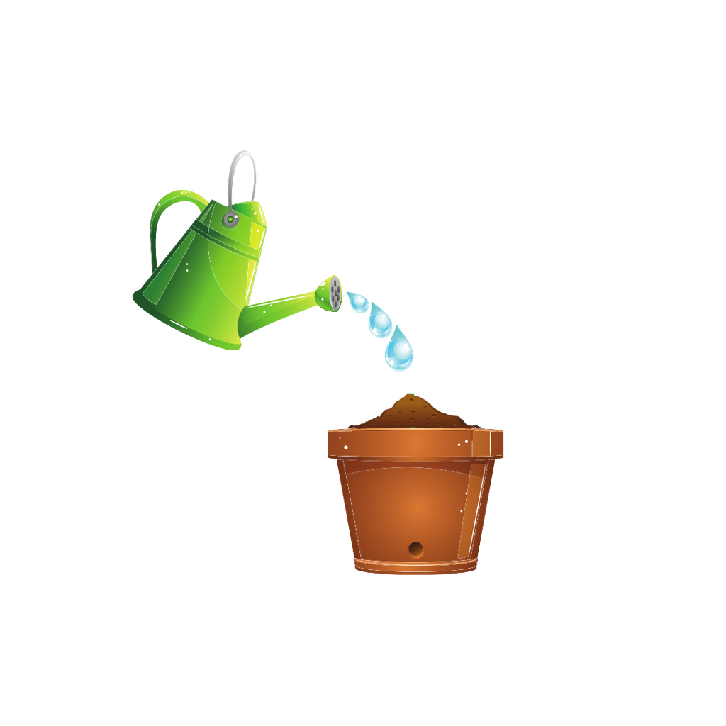 Your planting guide step 2: Showing a watering can watering the plantable paper in a plant pot