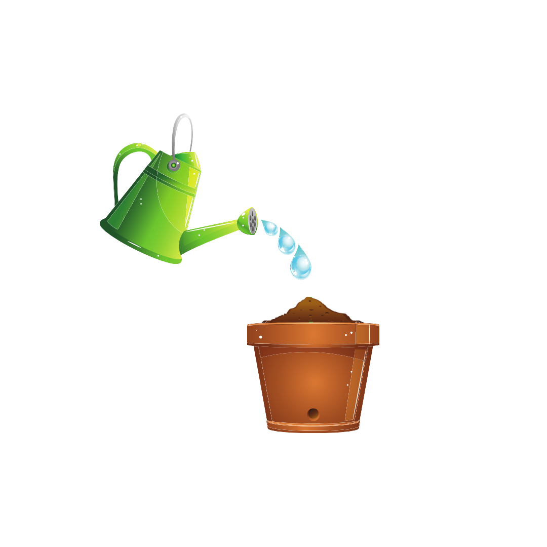 Your planting guide step 2: Showing a watering can watering the plantable paper in a plant pot