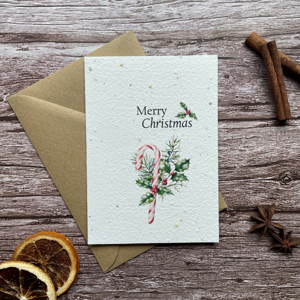Plantable Christmas greeting card with &