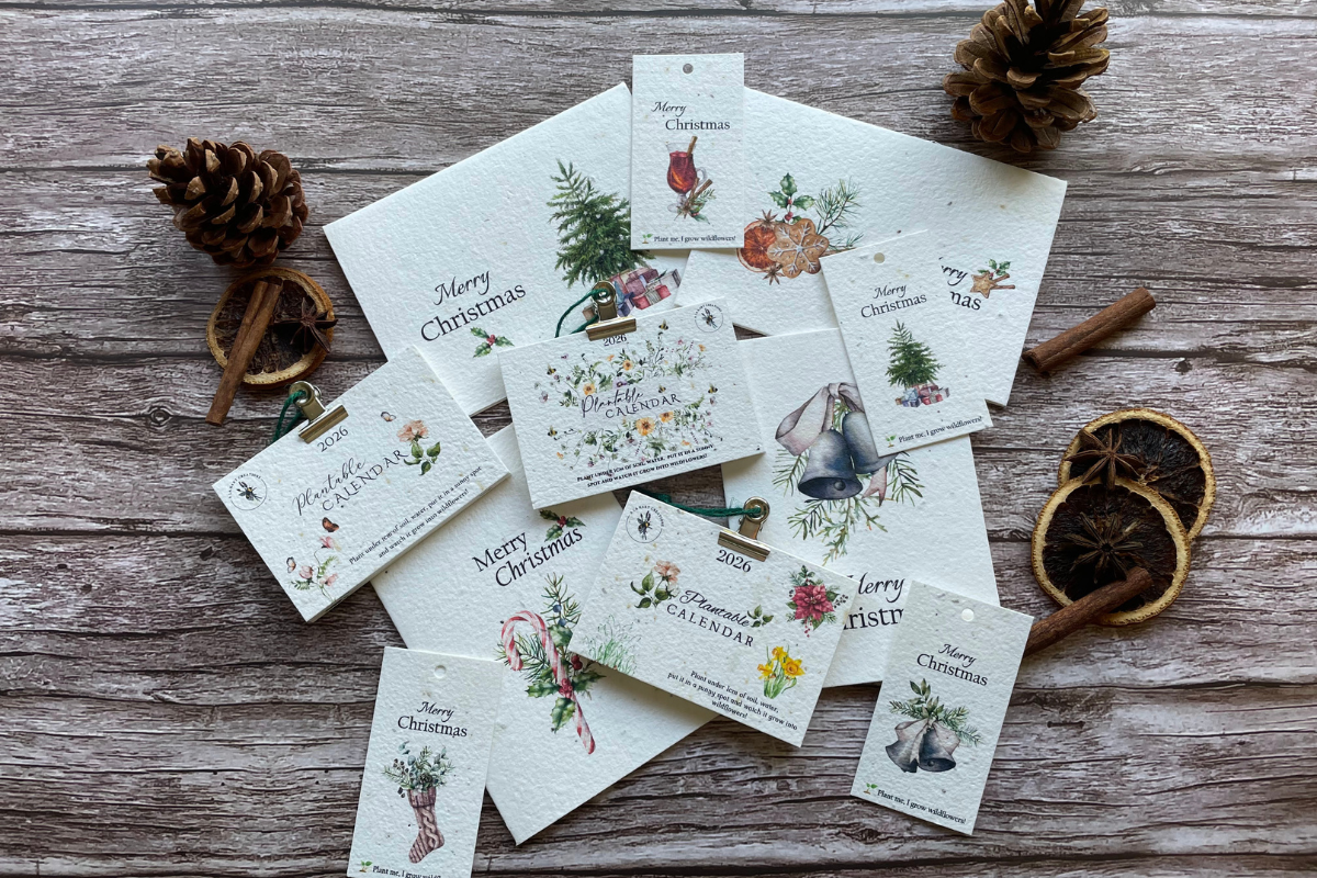 Eco Christmas Gifts: Plantable Cards, Bookmarks and Calendars That Actually Grow