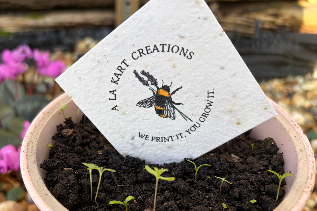 Seed Paper Printing Made Easy