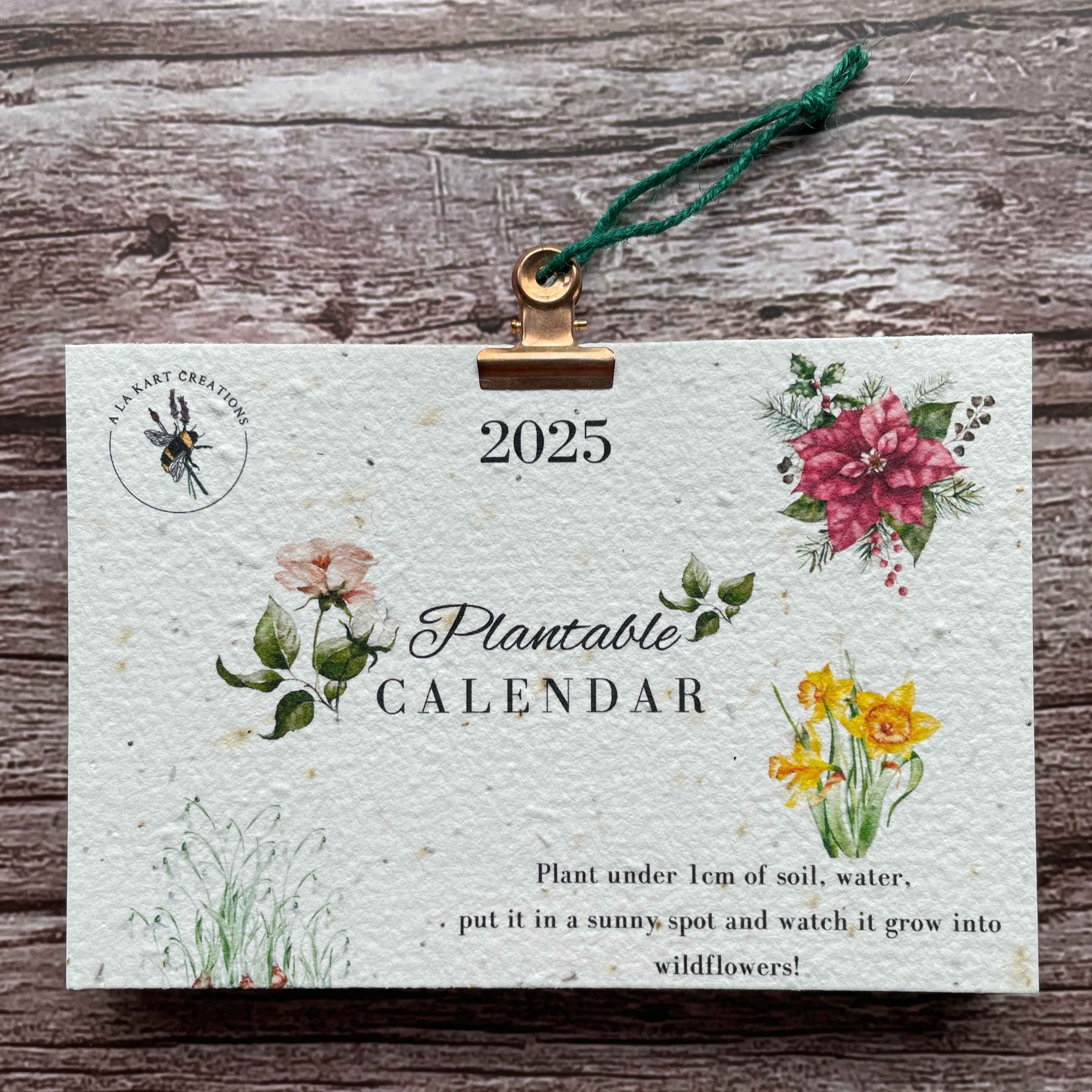 2025 plantable seed paper calendar featuring the four seasons, showcasing eco-friendly design and unique seed paper materials for sustainable gifting, alakartcreations