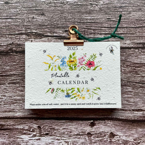 2025 wall calendar featuring a wildflower meadow design made from plantable seed paper, allowing users to grow vibrant wildflowers after use, promoting sustainability and eco-friendliness, alakartcreations