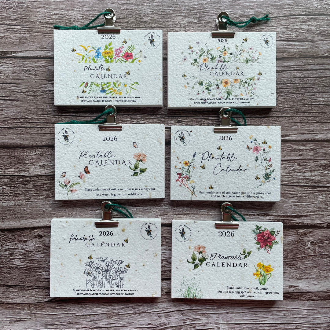 range of plantable calendars on wooden background with floral designs