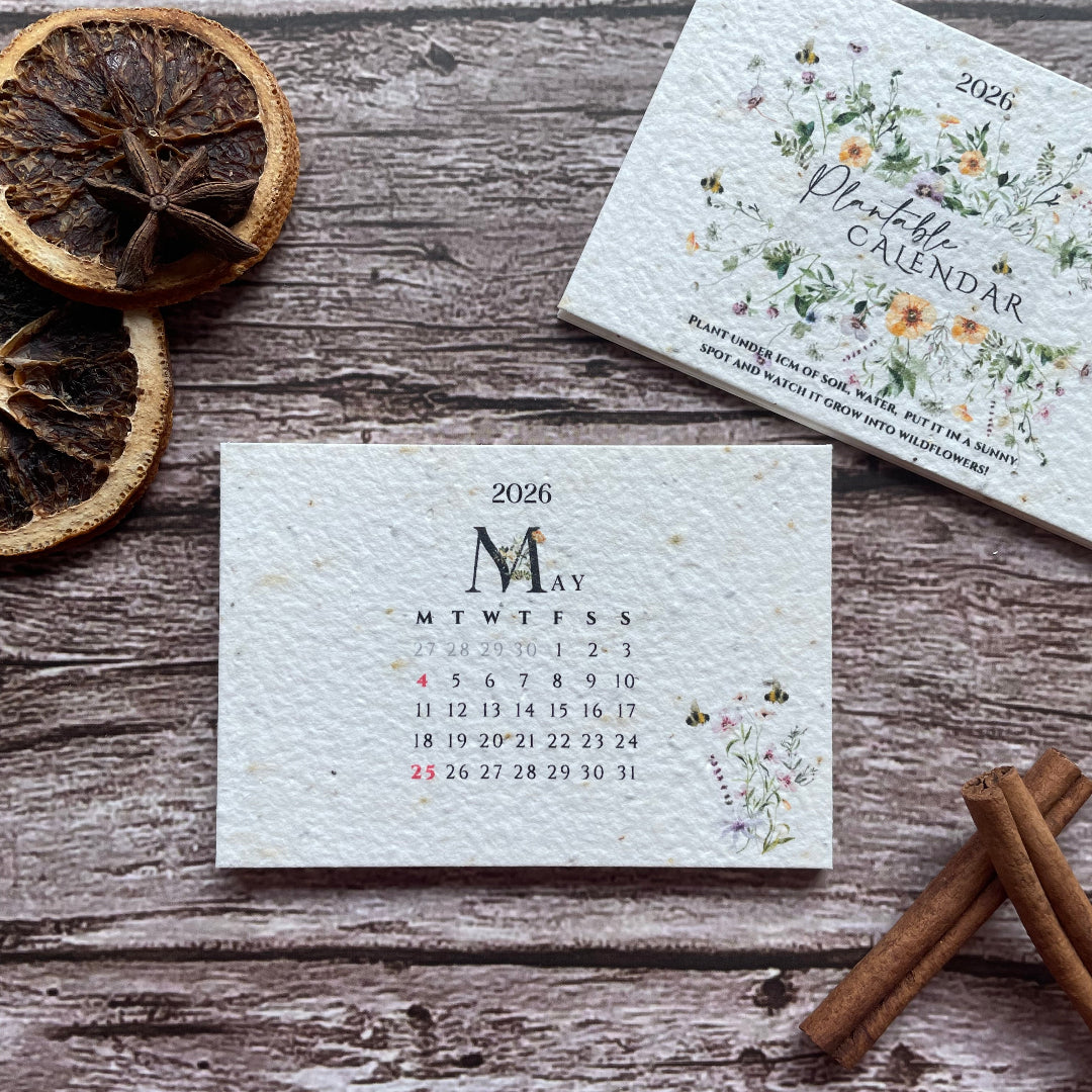 Seed paper 2026 calendar cards on a wooden surface with dried oranges and cinnamon sticks.