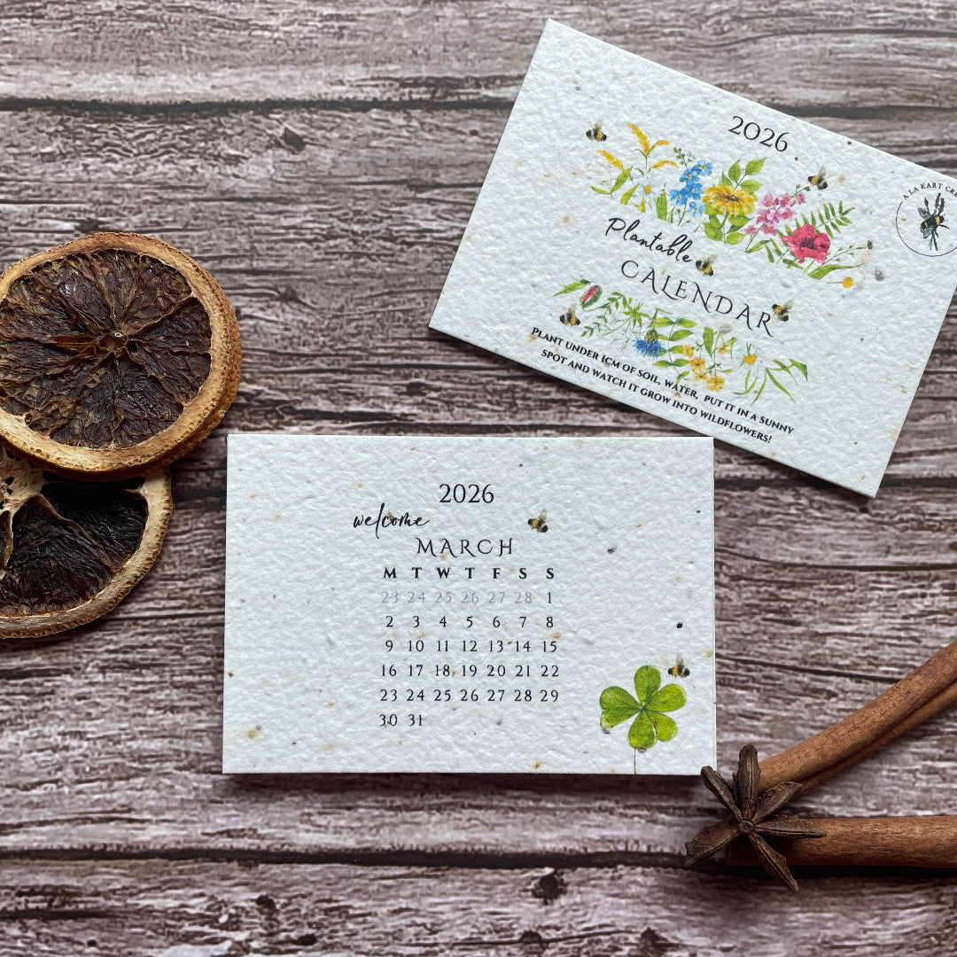 Two seed paper calendars on a wooden surface with dried oranges and twine.
