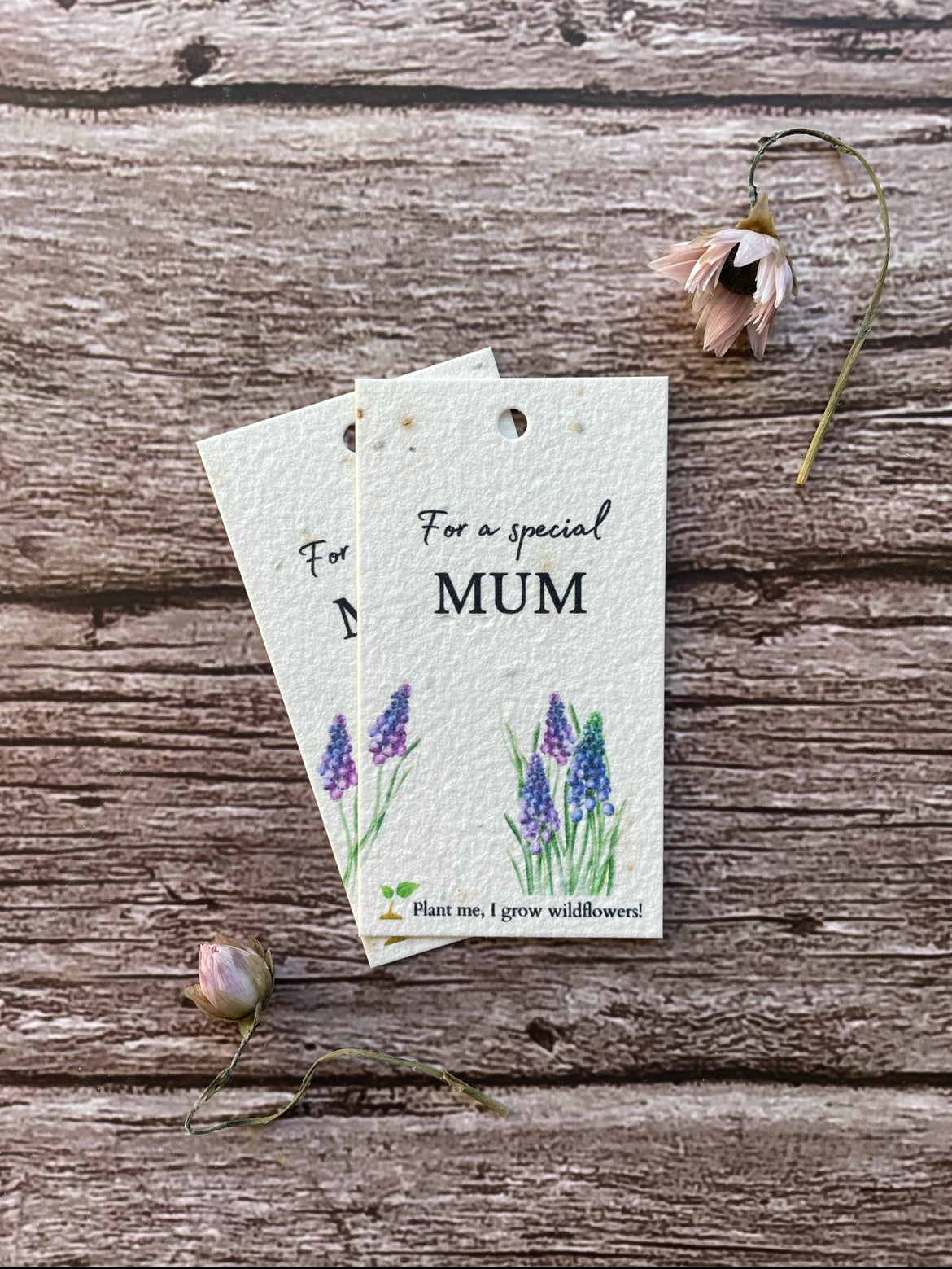 Plantable Mother's Day Gift Tags - Muscari