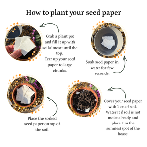 Step-by-step guide on how to plant seed paper with illustrations and text.