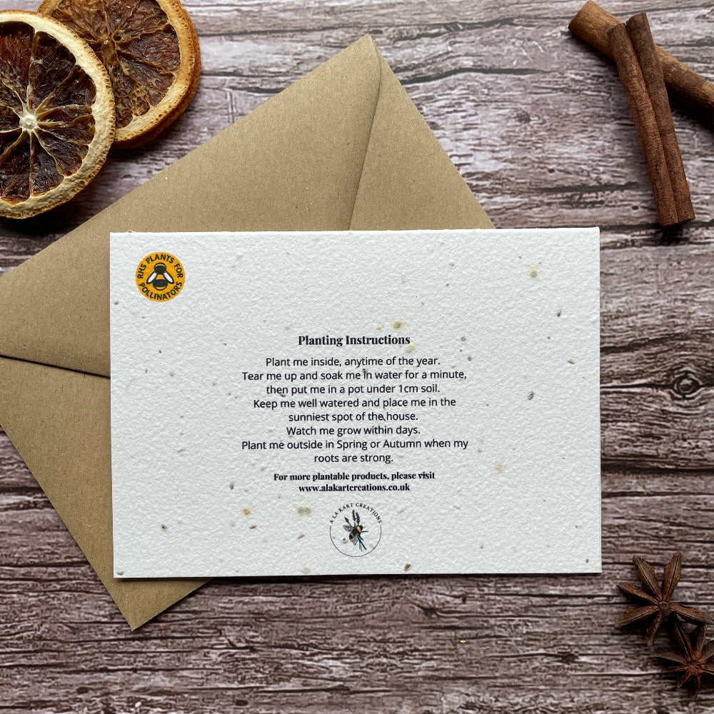 pine forest plantable christmas card back, landscape design, eco-friendly card made from seed paper, alakartcreations