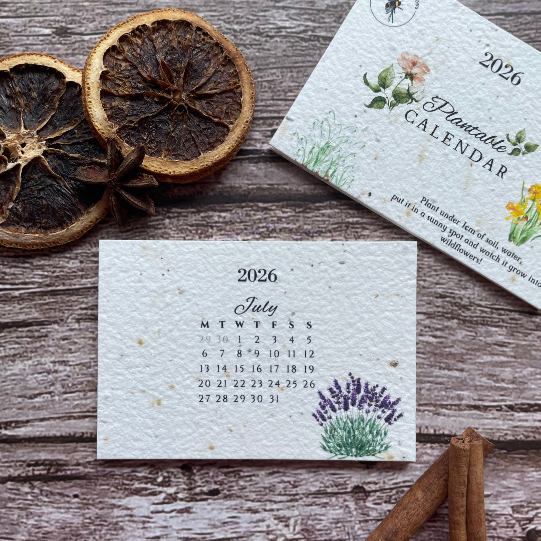 2026 seed paper calendar card with dried oranges and cinnamon sticks on a wooden surface