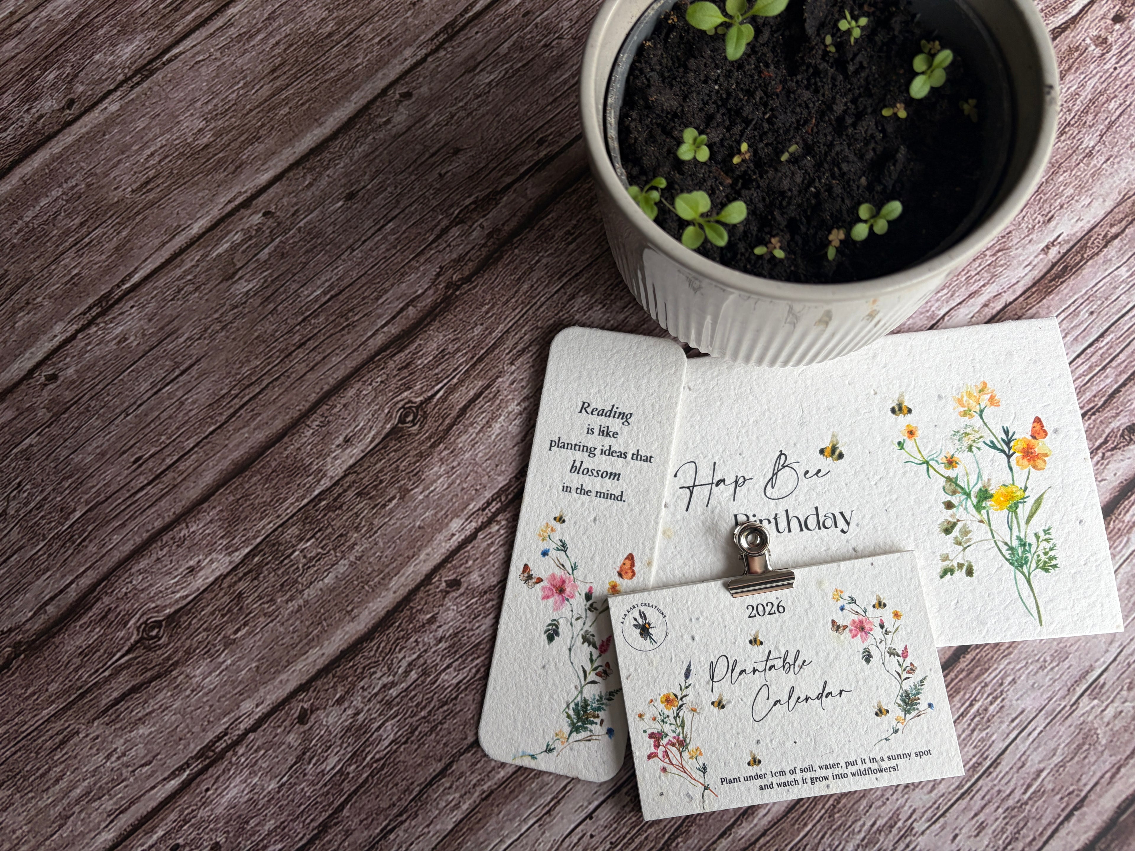 Set of plantable calendars bookmarks and greeting cards and a potted plant on a wooden surface
