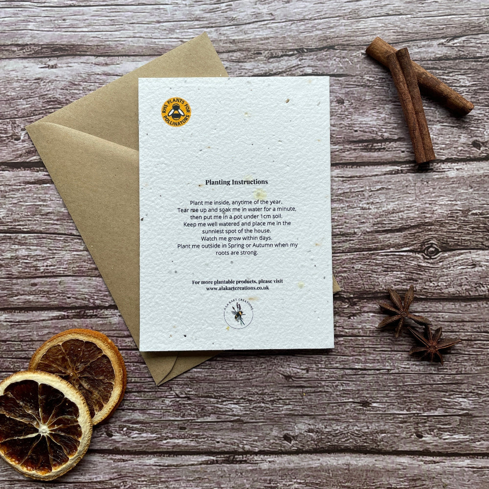 back of plantable xmas seed paper card with planting instructions