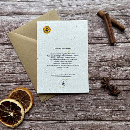 back of plantable xmas seed paper card with planting instructions