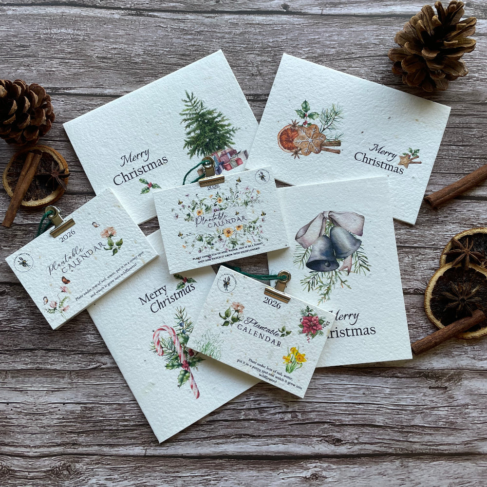 A flat-lay plantable arrangement of Christmas-themed paper goods on a rustic weathered wood surface, including several &