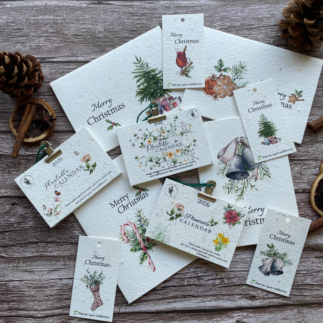 Collection of seed paper Christmas-themed greeting cards , calendars, tags on a wooden surface with pine cones.