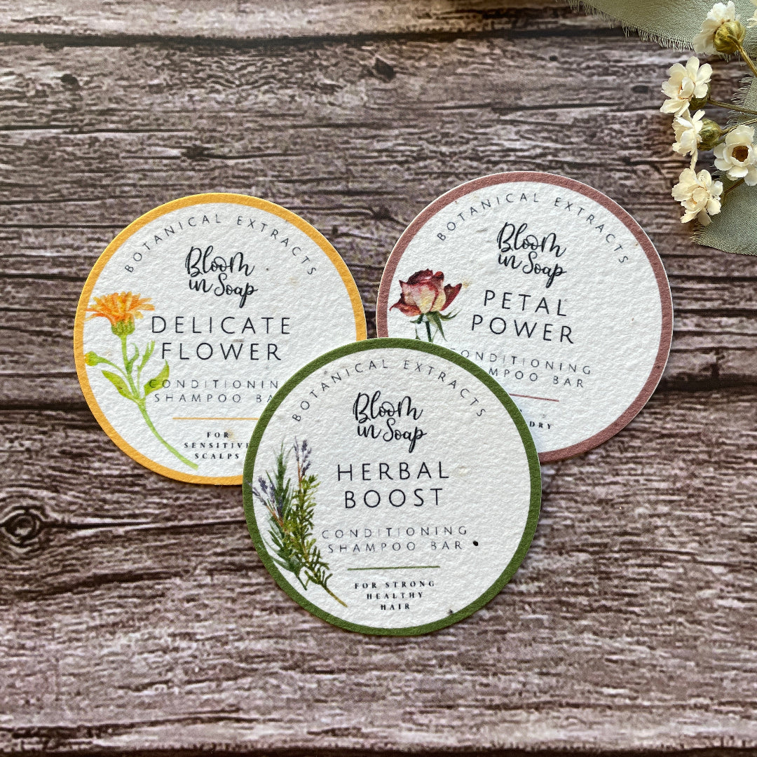 plantable seed paper tin lid top on a wooden surface