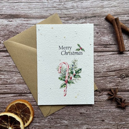 Plantable Christmas greeting card with &