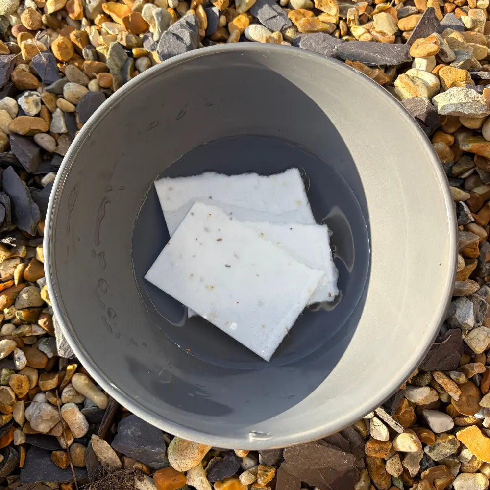 Gray bowl with white seed paper soaked in water.