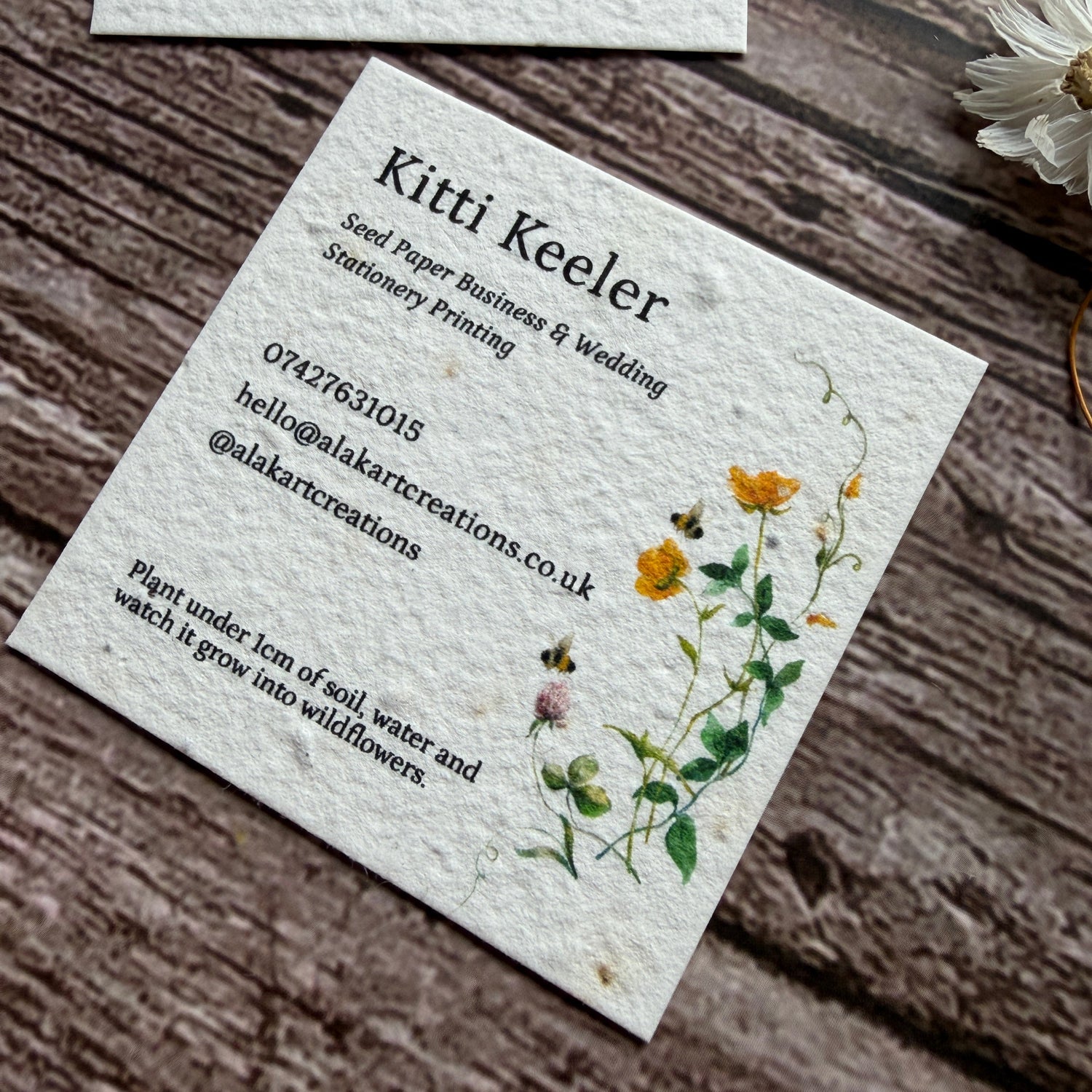 seed paper square cards with clover design