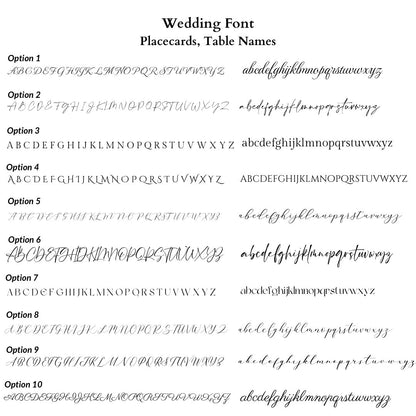 Comparison of ten wedding font styles for placecards and table names on a white background.