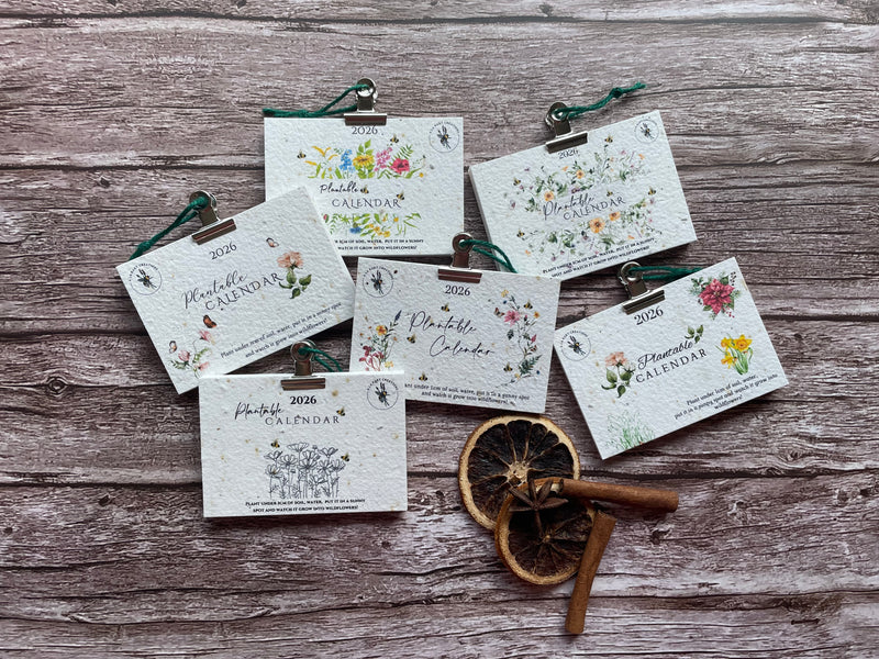 Small 2026 plantable calendars with floral designs on a wooden surface