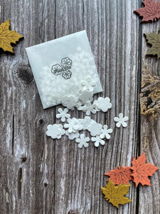 Seeded Paper Plantable Confetti