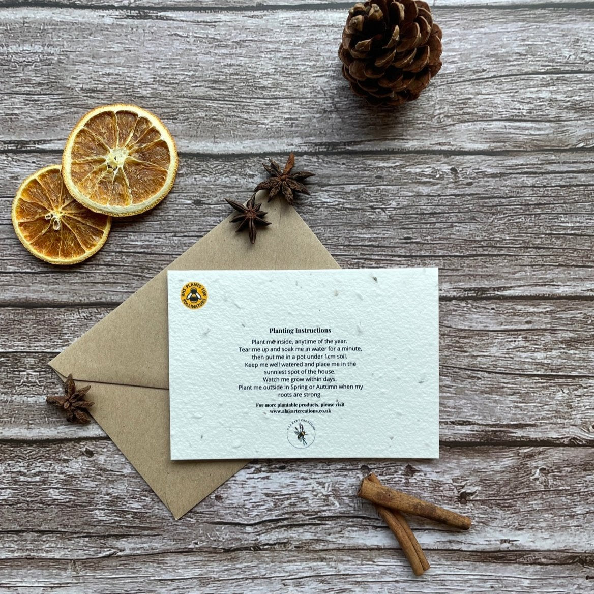 Personalised Plantable Christmas Card | Spiced Orange