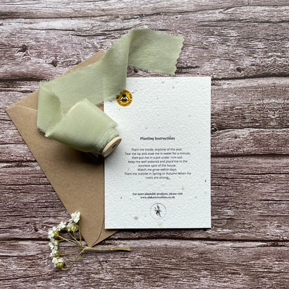 back view of personalised hap-pea birthday plantable card with eco-friendly planting instructions