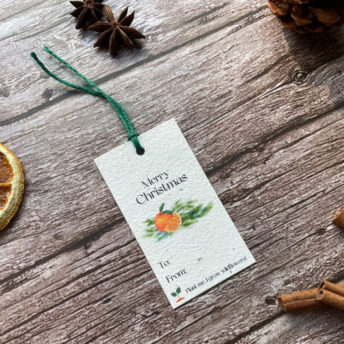 Close-up view of a single spiced orange plantable christmas gift tag with optional green twine angled to the left.