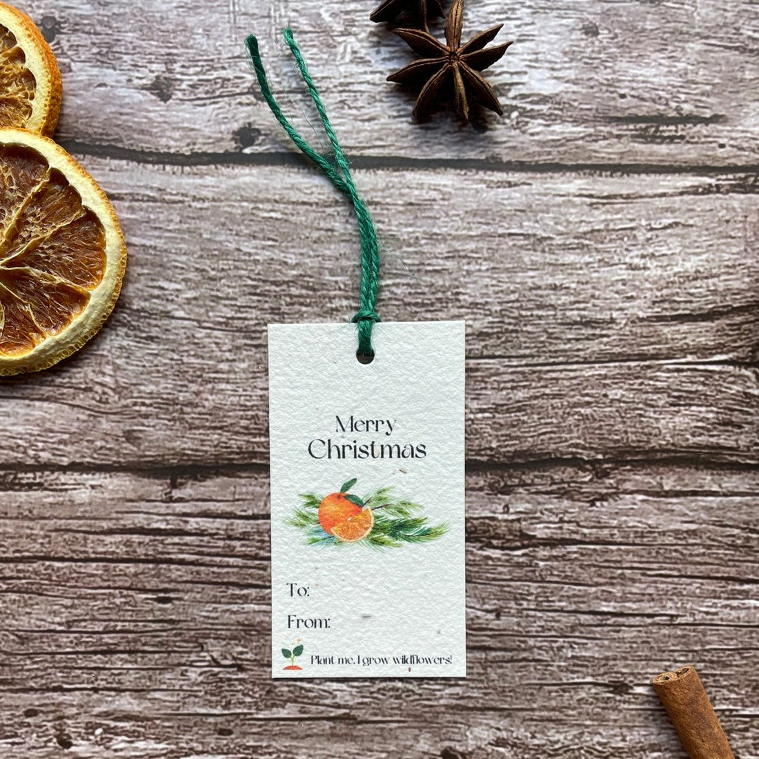 front view of a single spiced orange plantable christmas gift tag.